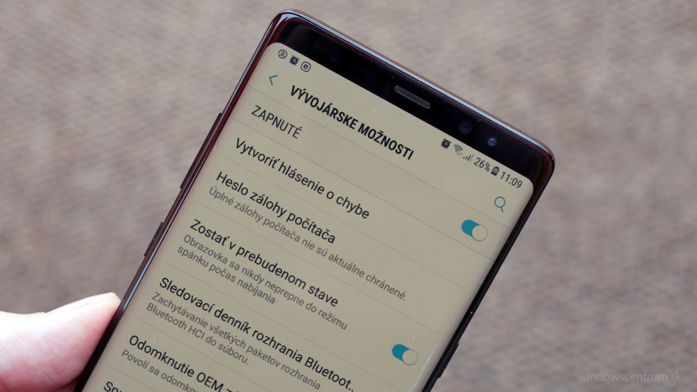 Vývojárske možnosti