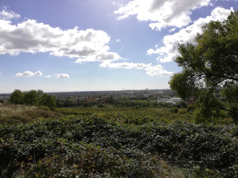 Huawei Honor 7X test fotografie_3-min