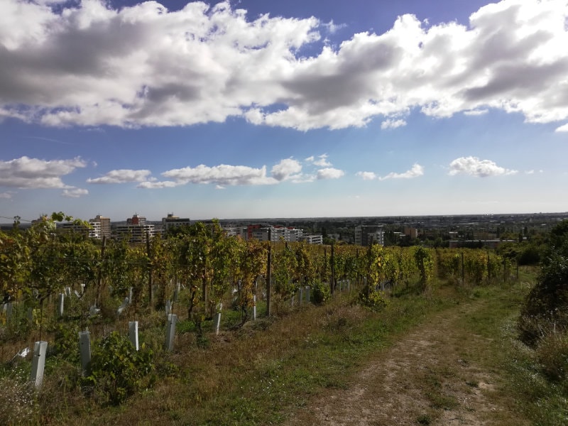 Huawei Honor 7X test fotografie_5-min