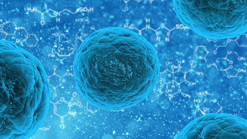 cell bunka bacteria-163711_960_720