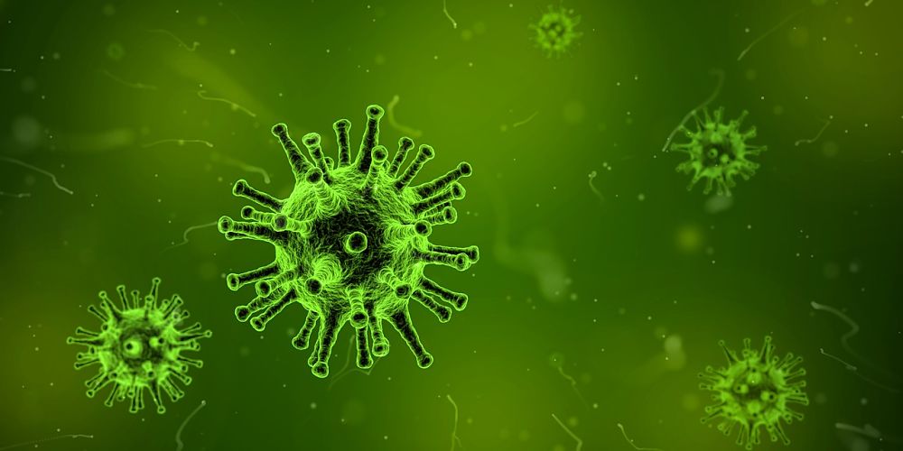virus bunka