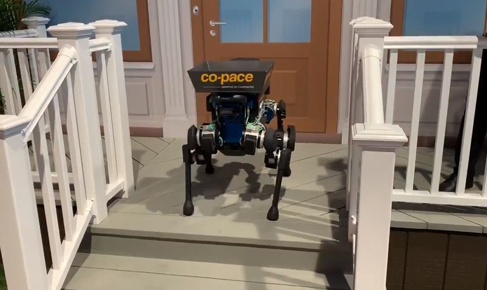 dorucovaci roboticky pes_opt