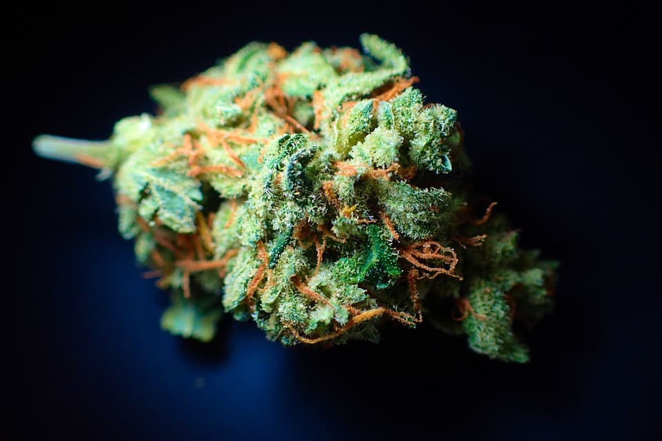 THC Marihuana addiction-3792495_960_720