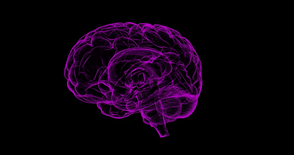 mozog brain-1787622_960_720
