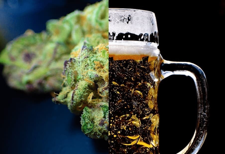 pivo a thc beer-2288121_960_720 (2)