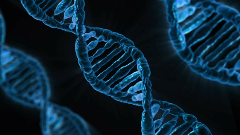 dna-163466_1280_opt