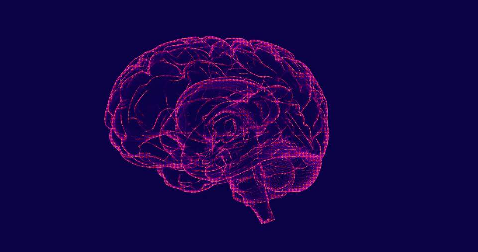 mozog brain-1787622_960_720