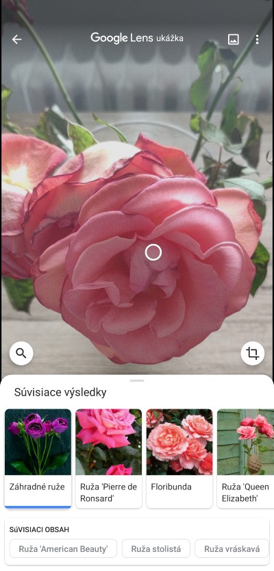 Google Lesn vyhlaavanie produktov