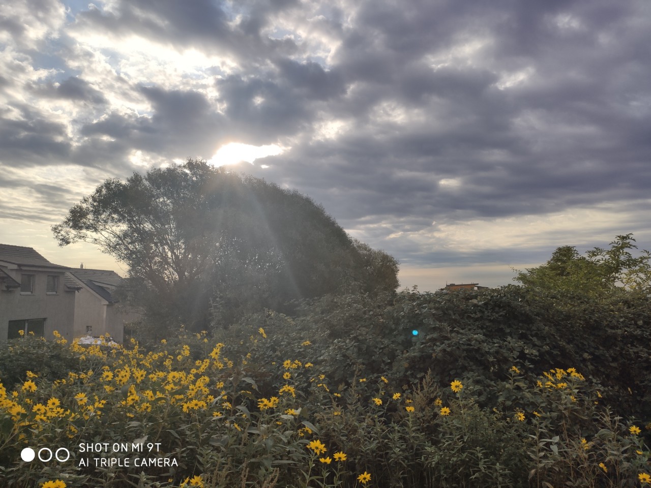 Xiaomi Mi 9T kvalita fotografie_zaber do priameho Slnka