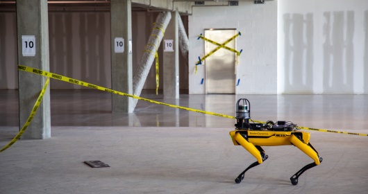 boston dynamics spot 1
