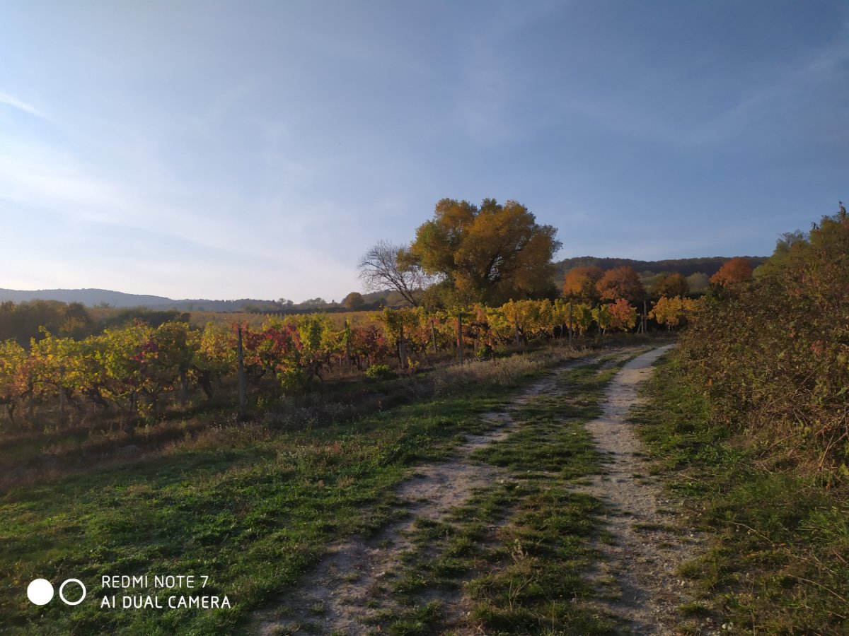 Redmi Note 7 _porovnanie_fotografii_6