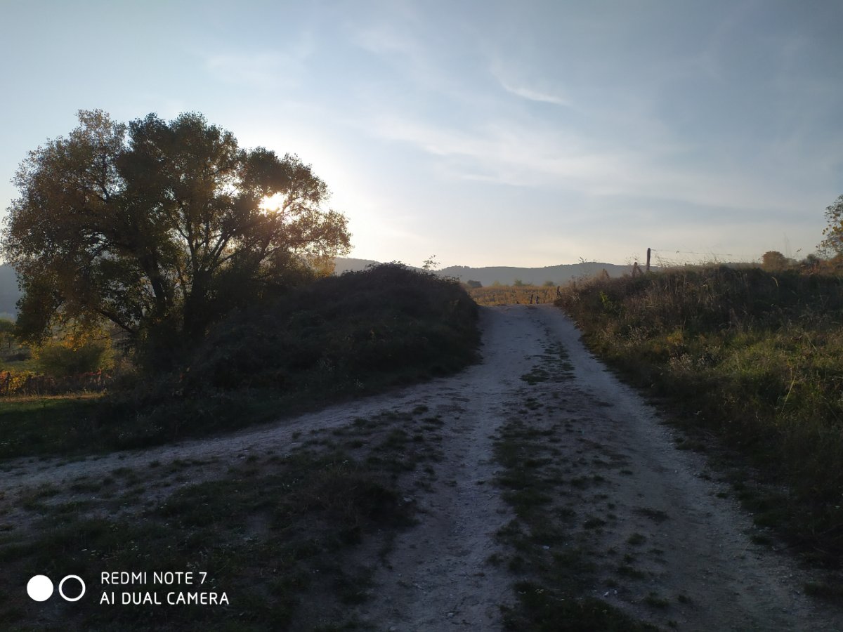 Redmi Note 7 kvalita fotografii_vecer_1