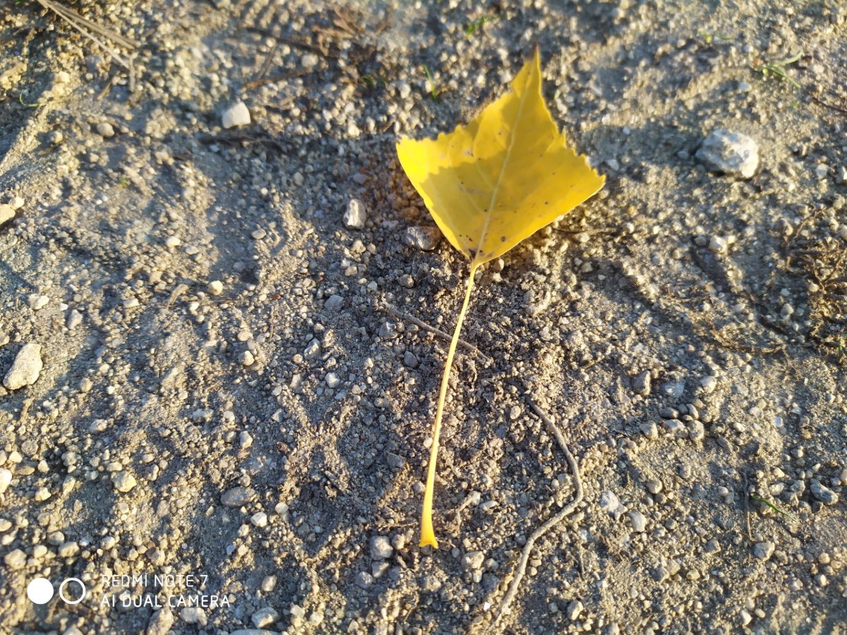 Redmi Note 7 _porovnanie_fotografii_2
