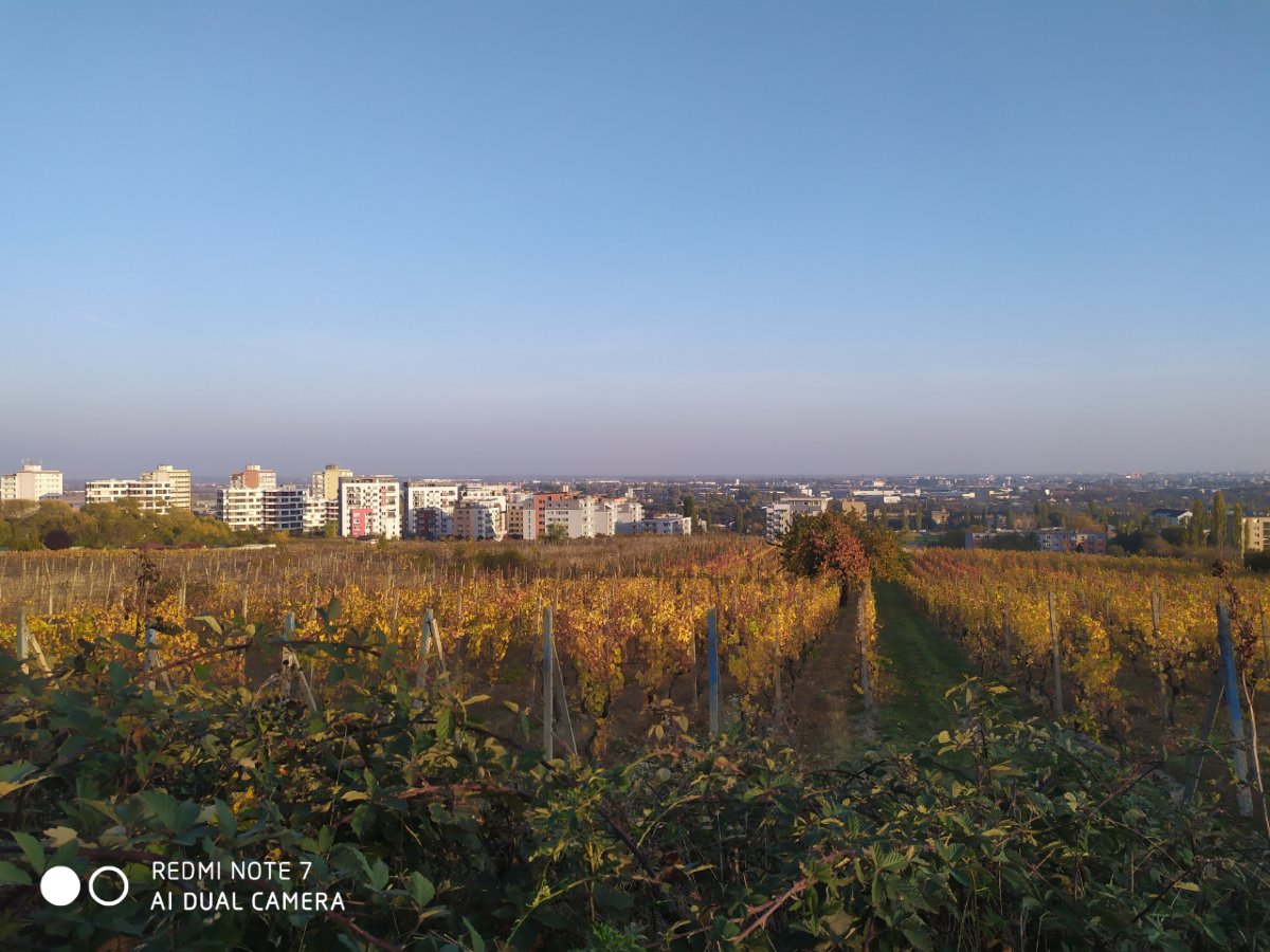 Redmi Note 7 _porovnanie_fotografii_5