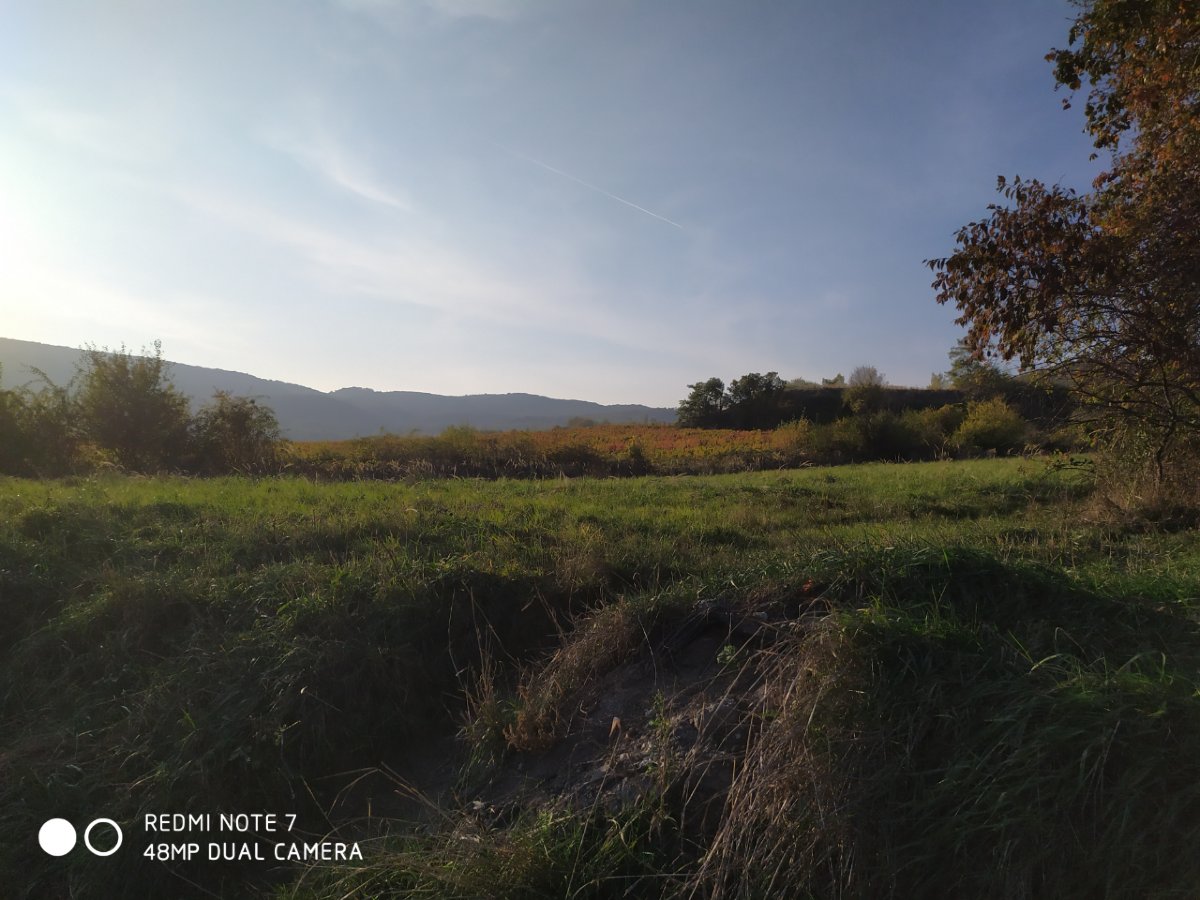 Redmi Note 7_kvalita_fotografie_48_2