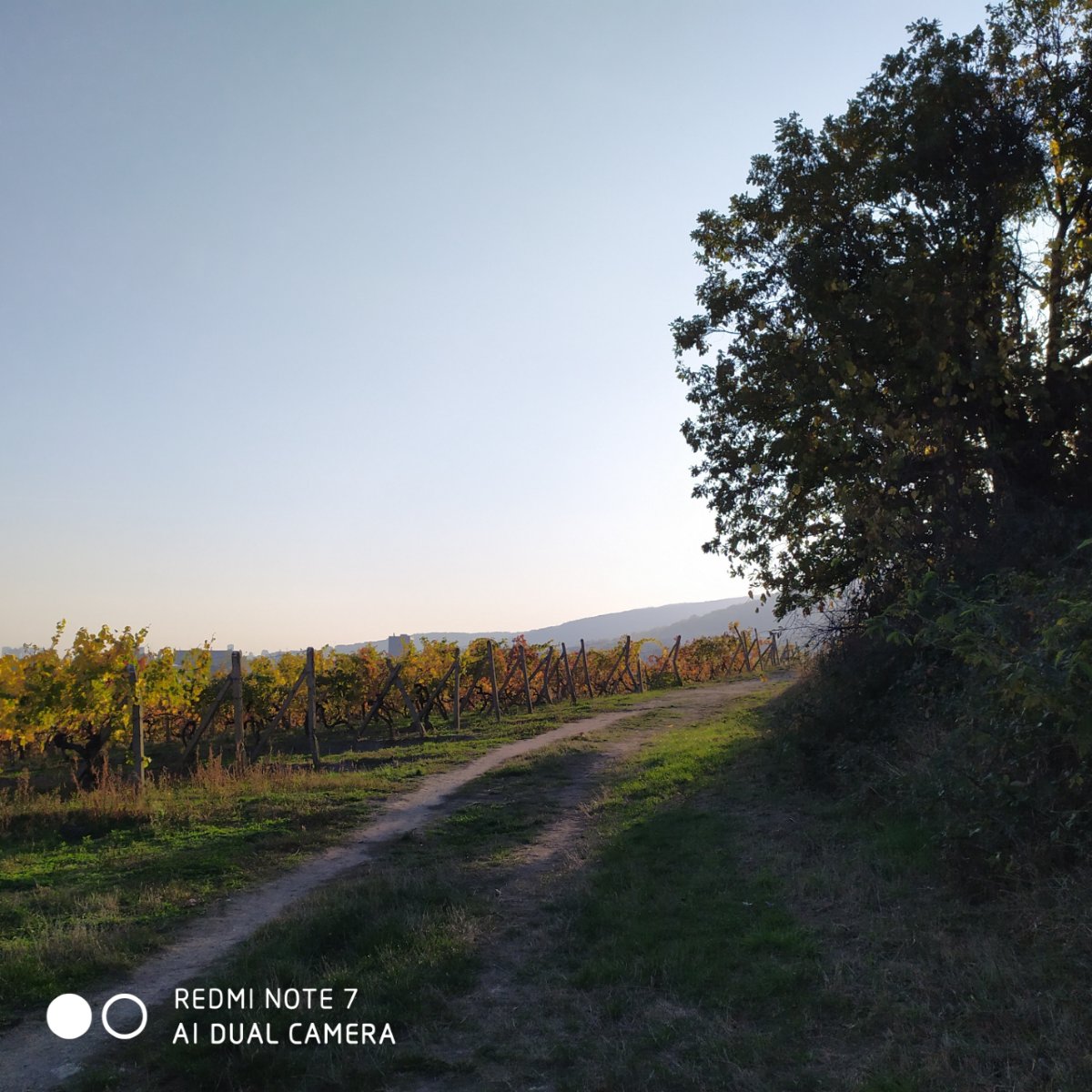 Redmi Note 7_porovnanie_fotografii_9
