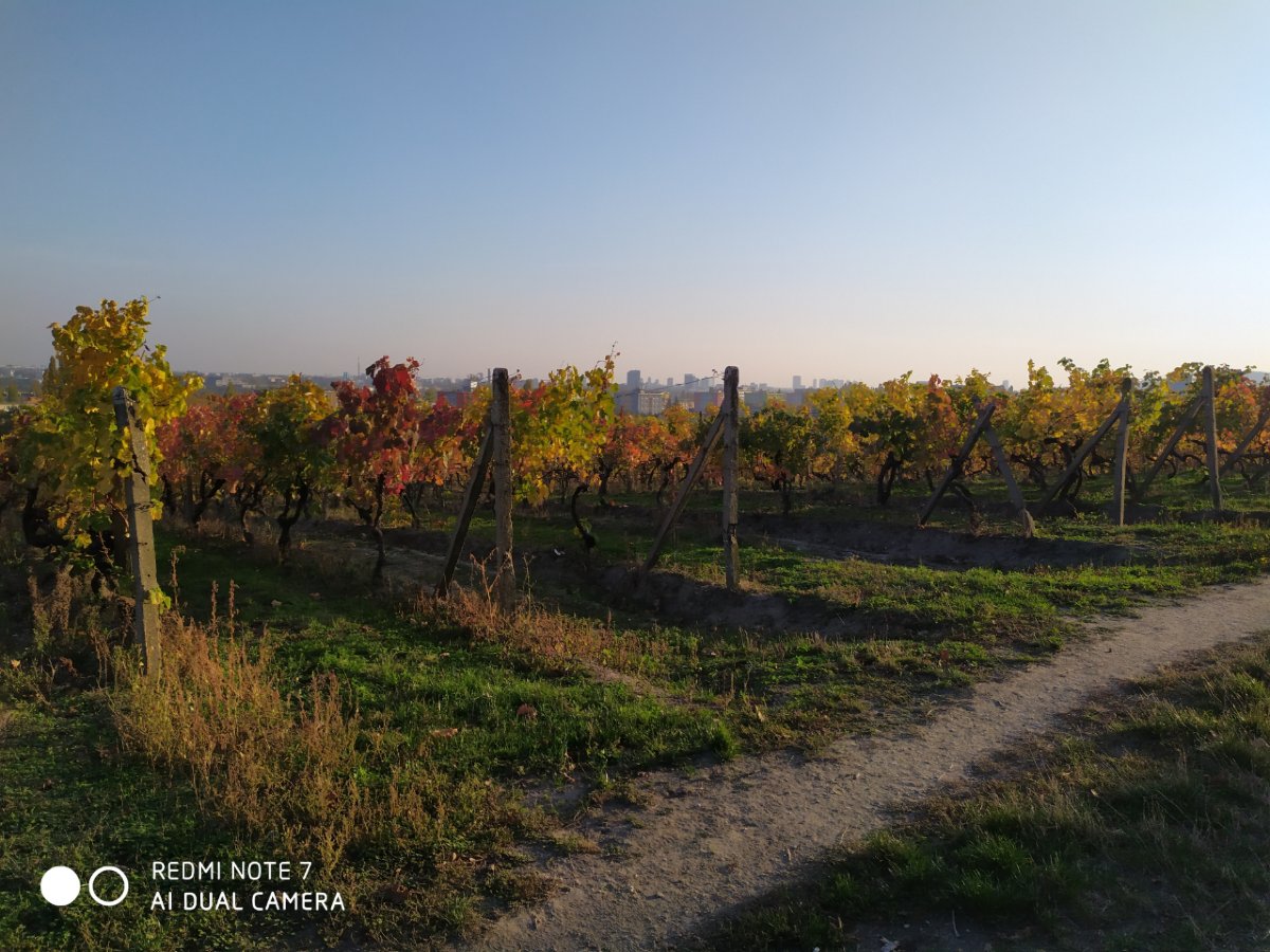 Redmi Note 7_porovnanie_fotografii_8