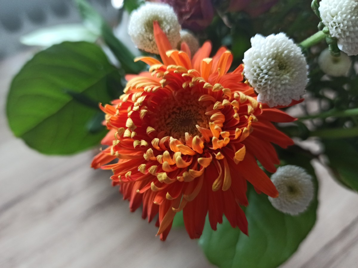 Redmi Note 8 Pro Recenzia_priklad foografie_5