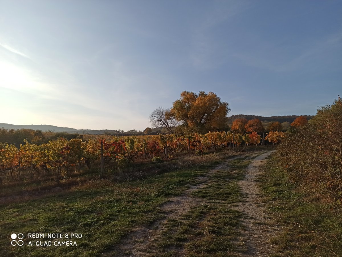 Redmi Note 8 Pro_porovnanie_fotografii_6