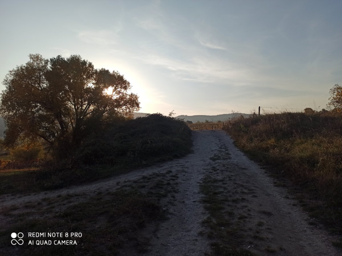 Redmi Note 8 Pro kvalita fotografii_vecer_1