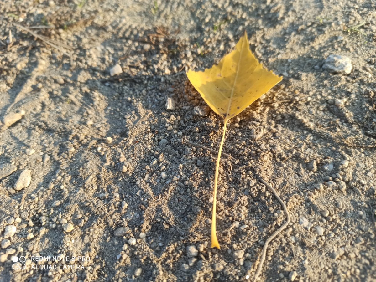Redmi Note 8 Pro_porovnanie_fotografii_2