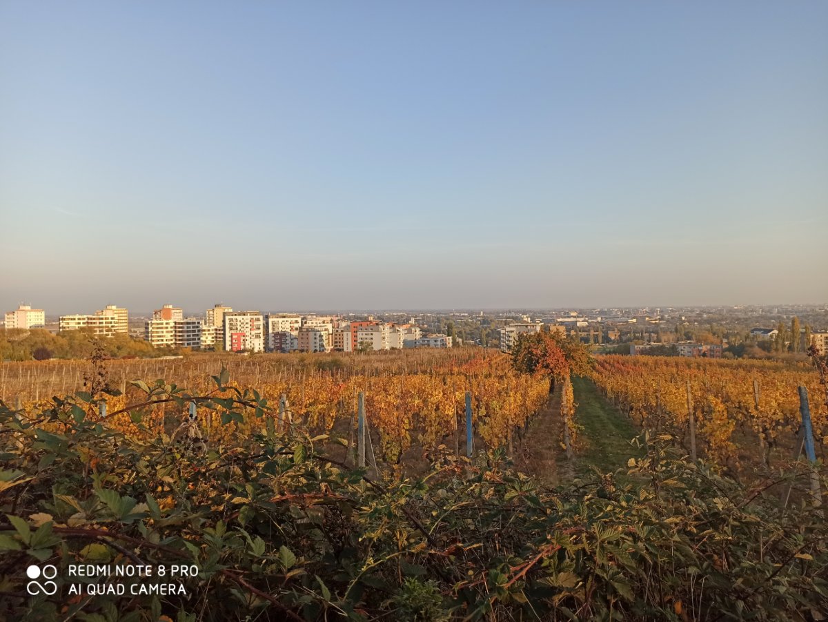Redmi Note 8 Pro_porovnanie_fotografii_5