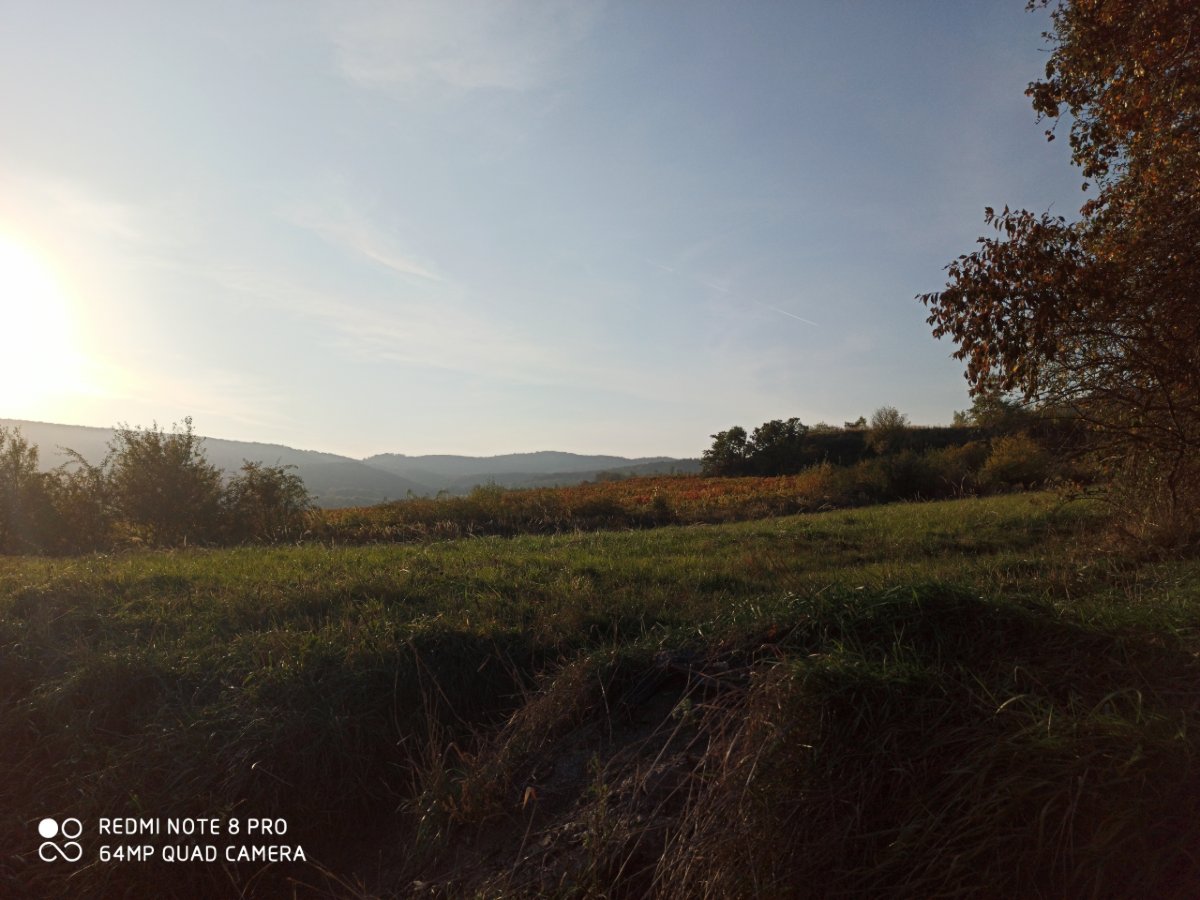 Redmi Note 8 Pro_kvalita_fotografie_64_2