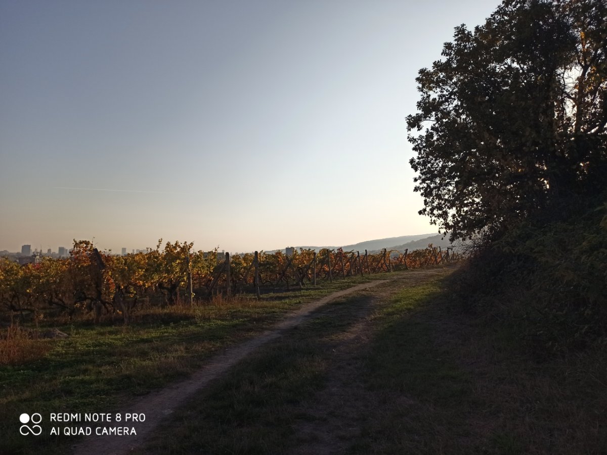 Redmi Note 8 Pro_porovnanie_fotografii_7