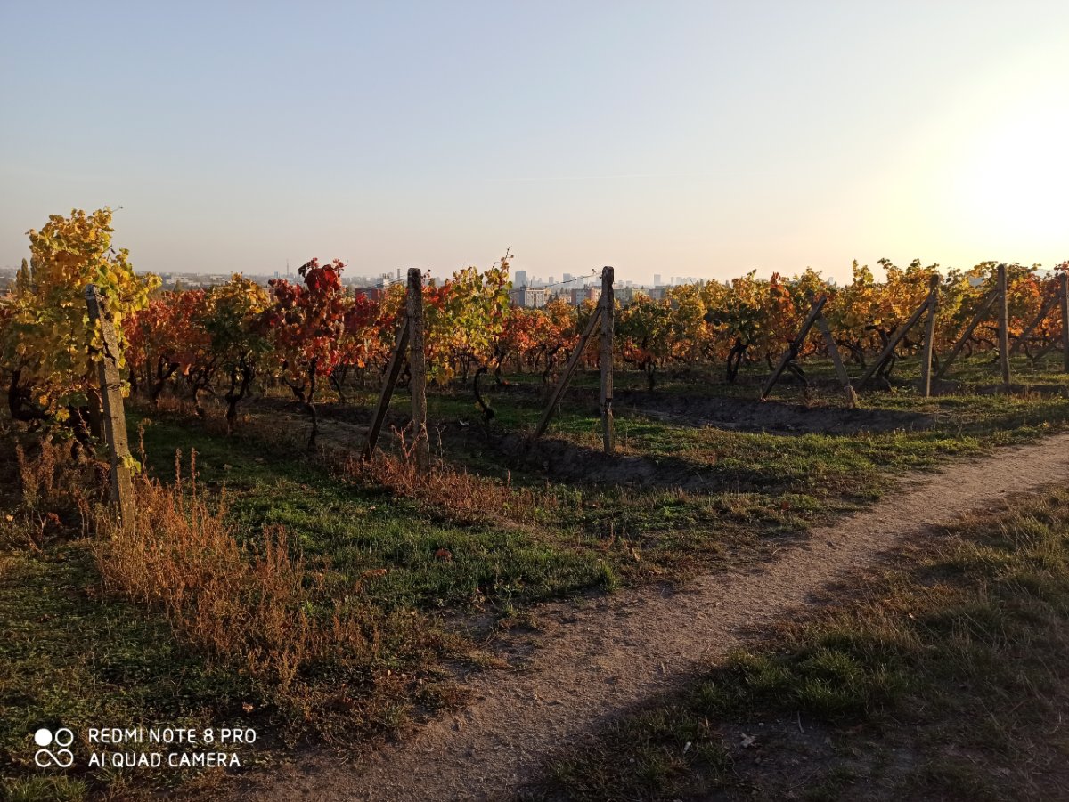 Redmi Note 8 Pro_porovnanie_fotografii_7