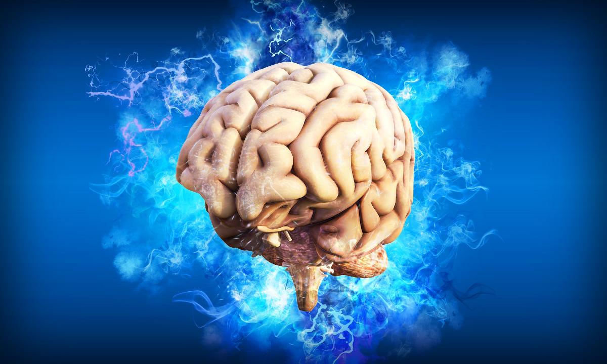 mozog brain-4314636_1920
