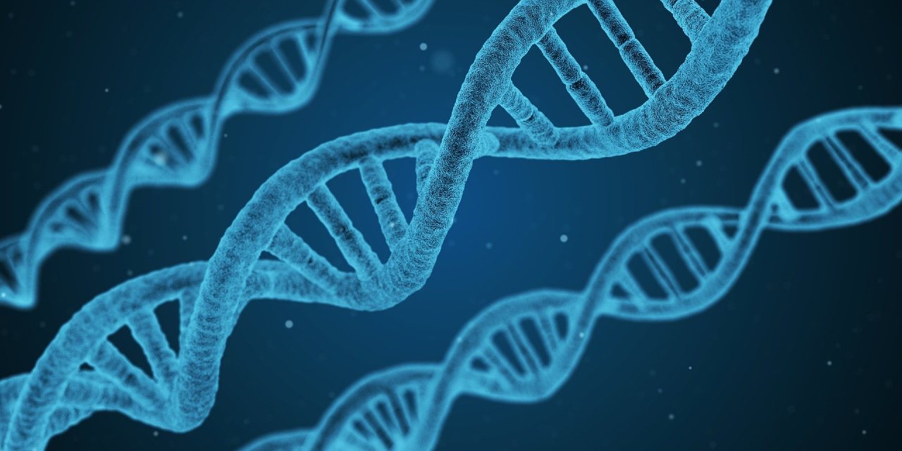 dna-1811955_1920 (1)