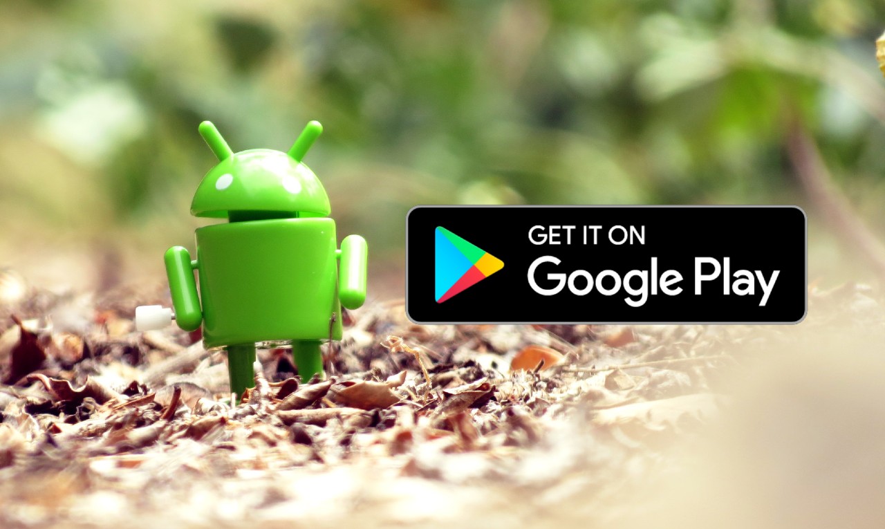 Google Play (1)