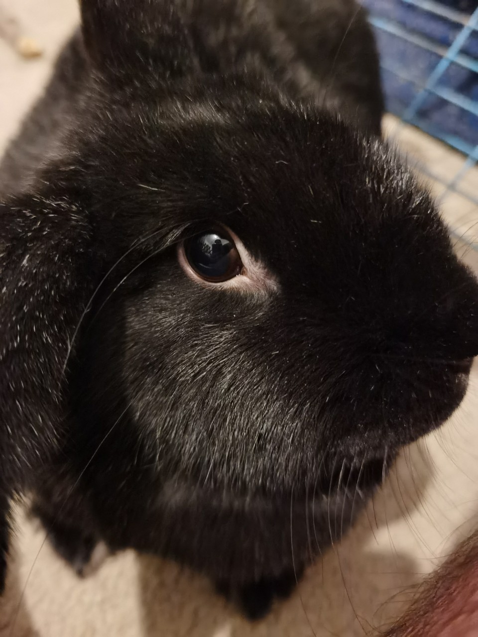 Huawei P40 Pro_vzorka fotografii_2