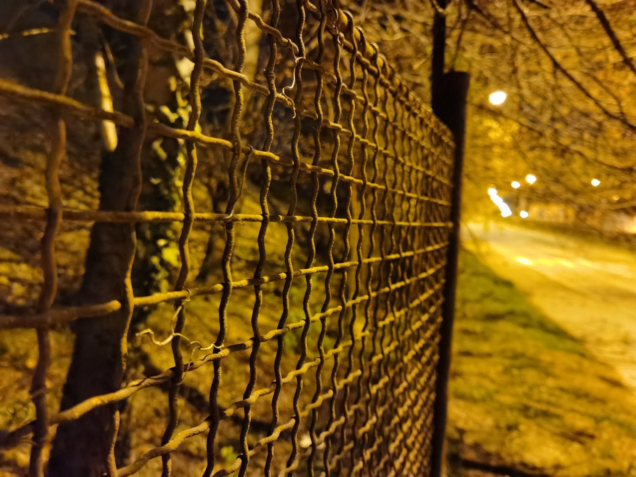 Huawei P40 Pro_vzorka fotografii_7