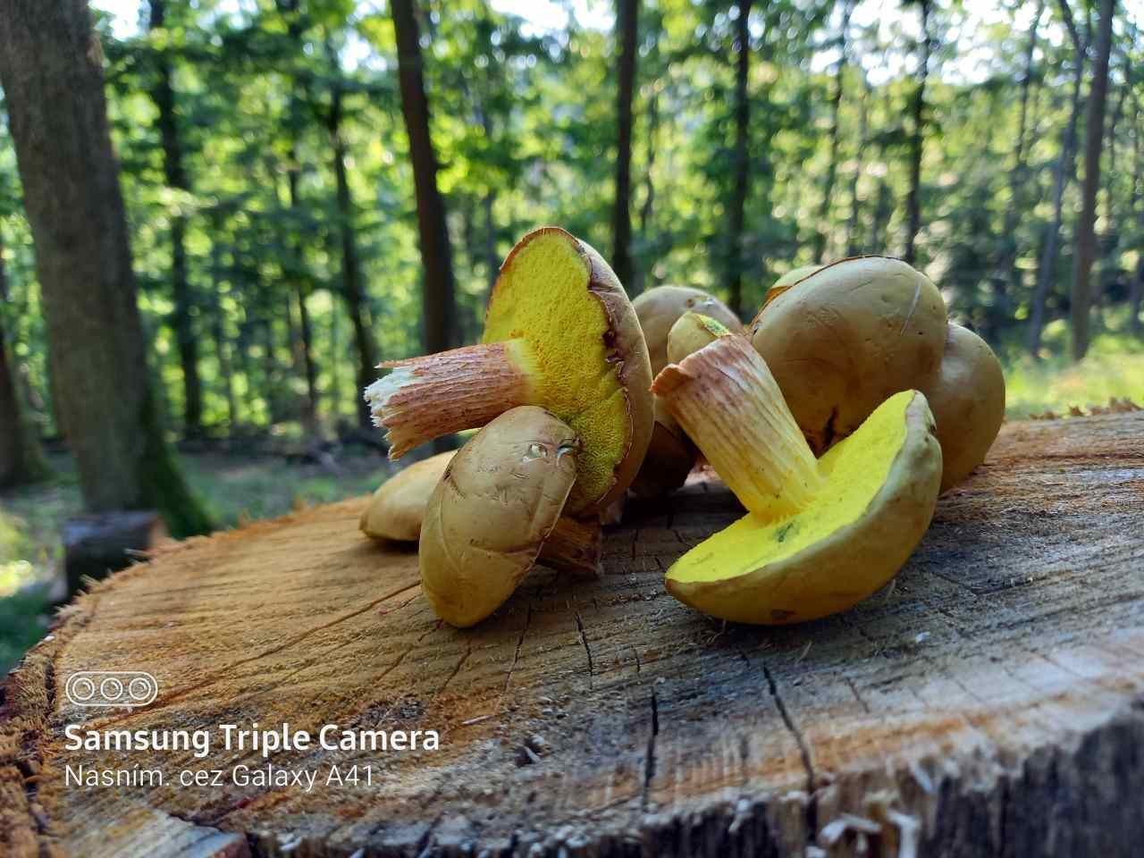 Samsung Galaxy A41_fotografia_2 (2)