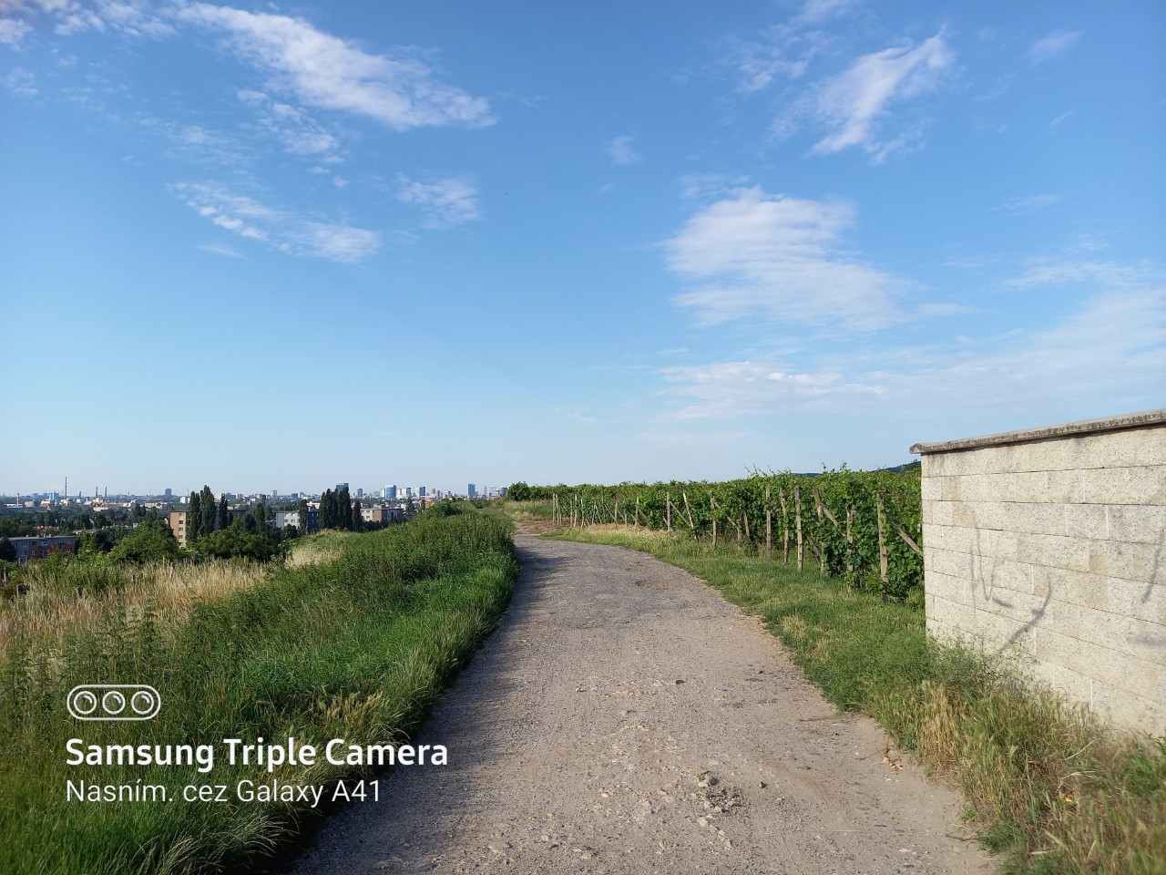 Samsung Galaxy A41_fotografia_4 (2)