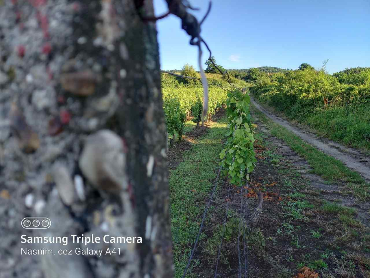 Samsung Galaxy A41_fotografia_6 (2)
