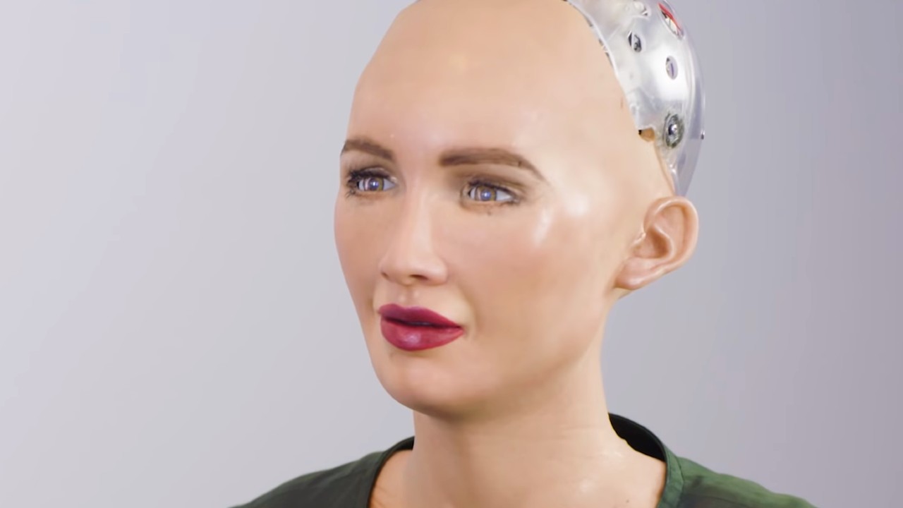 Huamnoid sophia