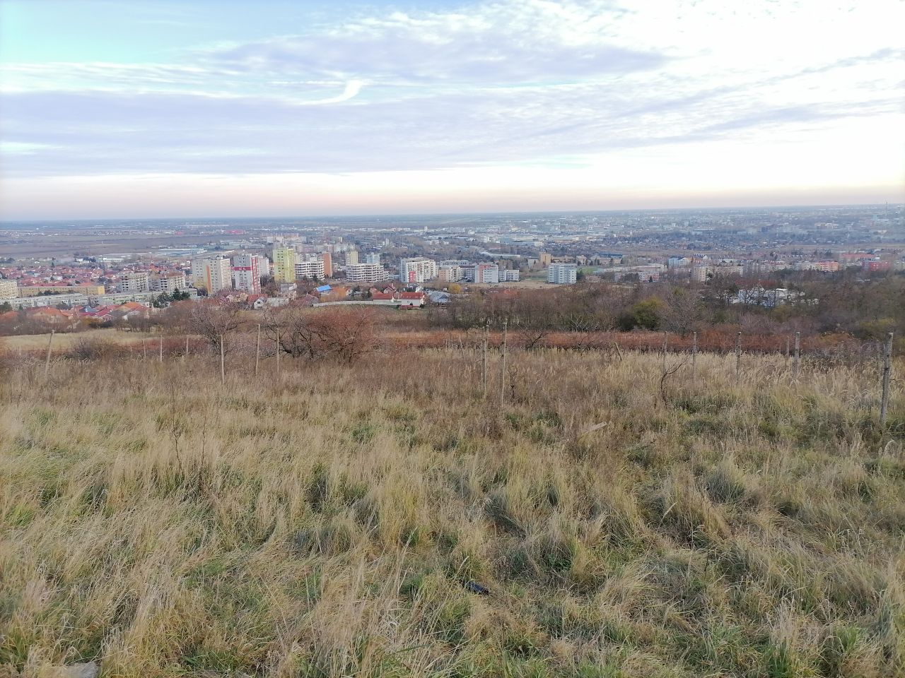 Honor 10X Lite_vzorka_snimka_6
