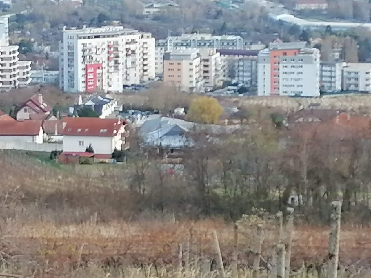 Honor 10X Lite_vzorka_snimka_7_priblizenie