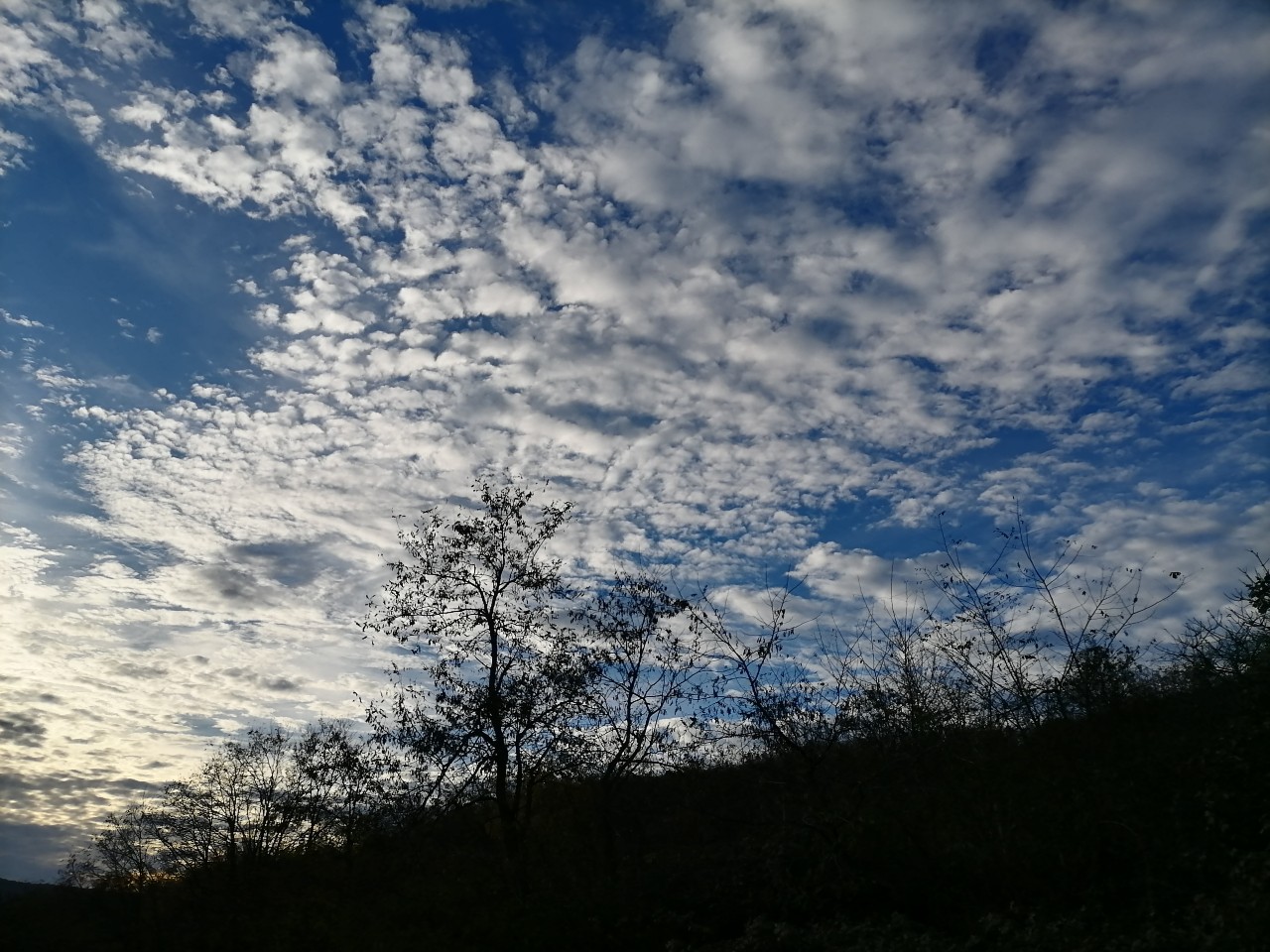 Honor 10X_vzorka fotografie 5