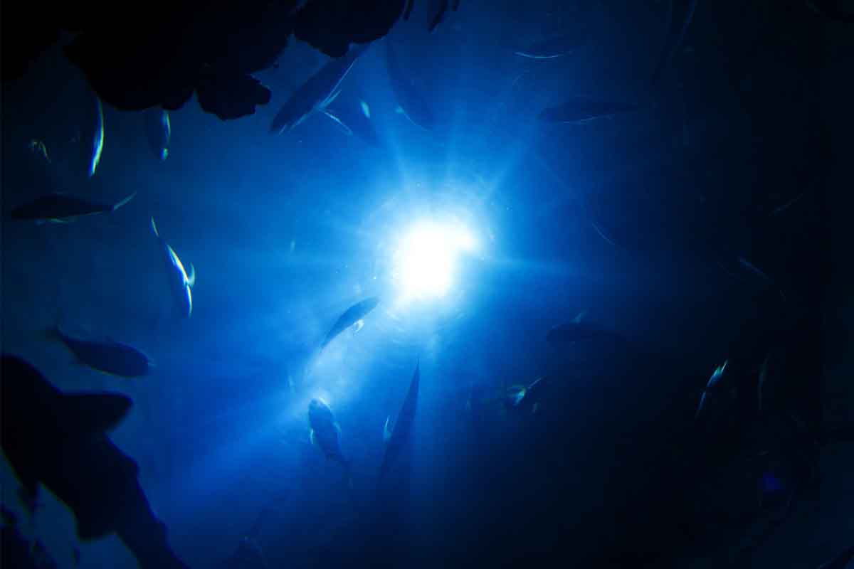 Oceán