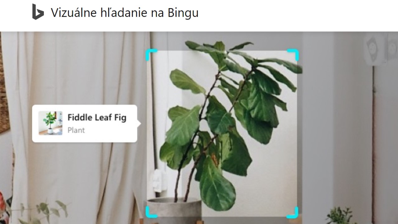 vizualne hladanie na bingu ilustracny