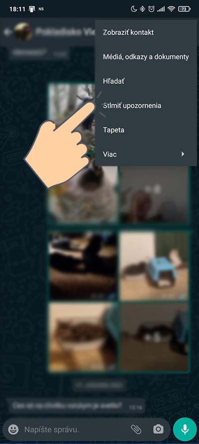 WhatsApp_funkcia vypnutia notifikacii_1
