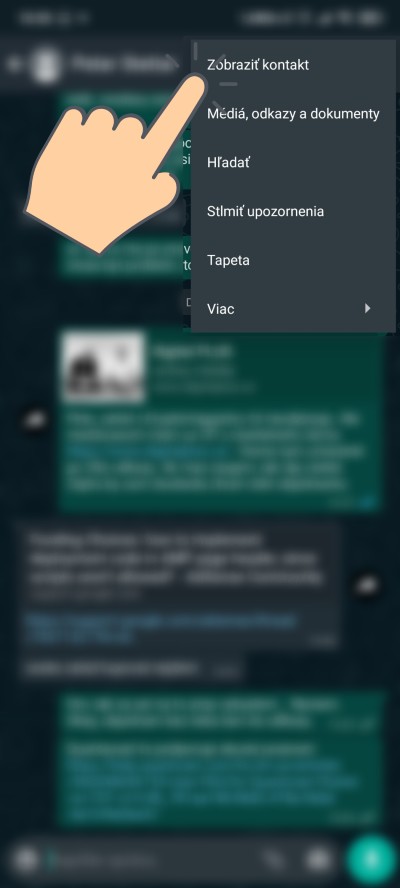 WhatsApp_miznuce spravy_1 (1)