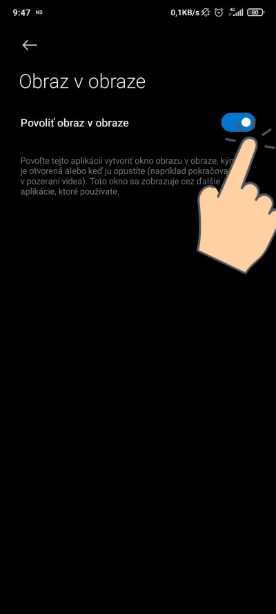 WhatsApp_obraz v obraze_3