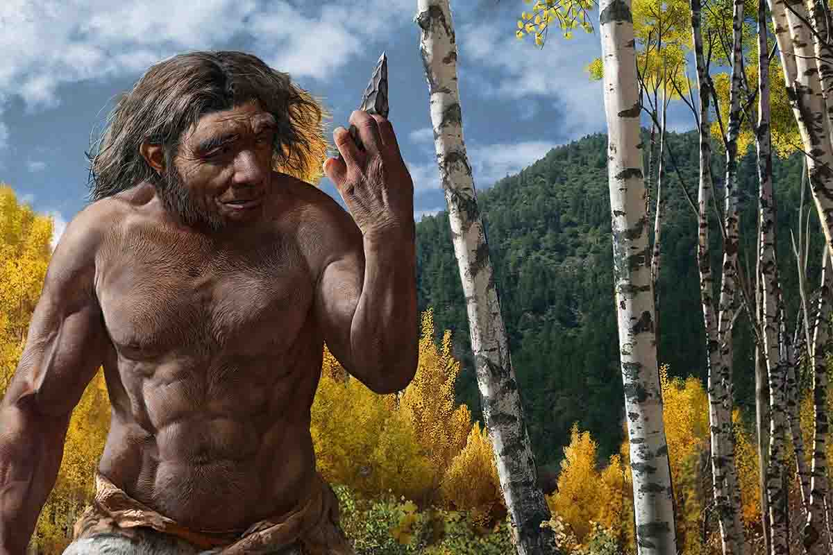 Homo longi