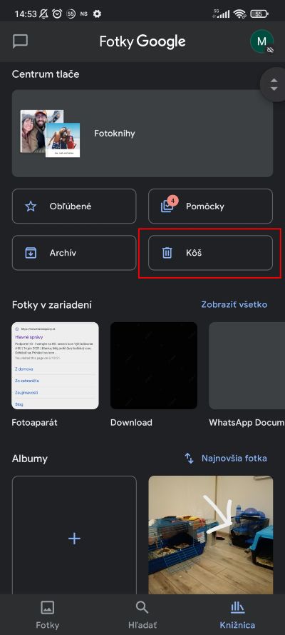 Google Fotky_funkcia kos