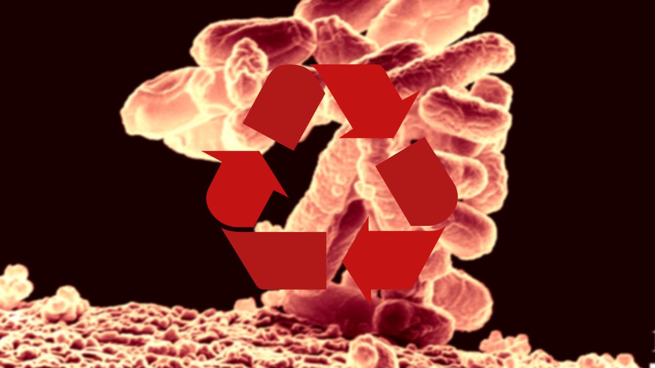 Recyklacia baterii pomocou bakterii