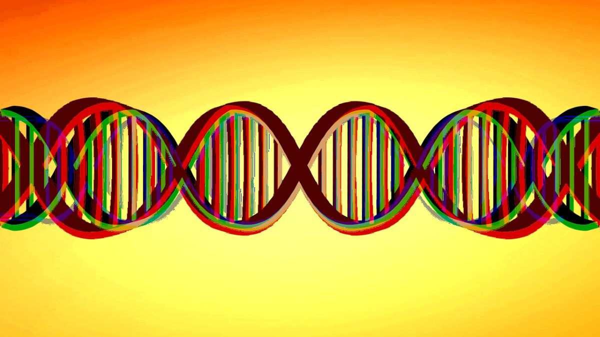 geny DNA